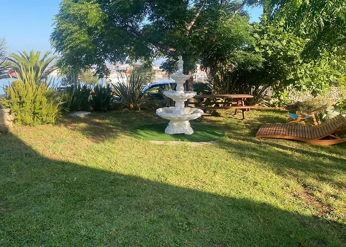 Summer House Дом отдыха